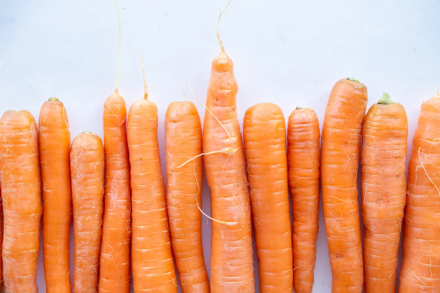 Carrots - fresh bulk