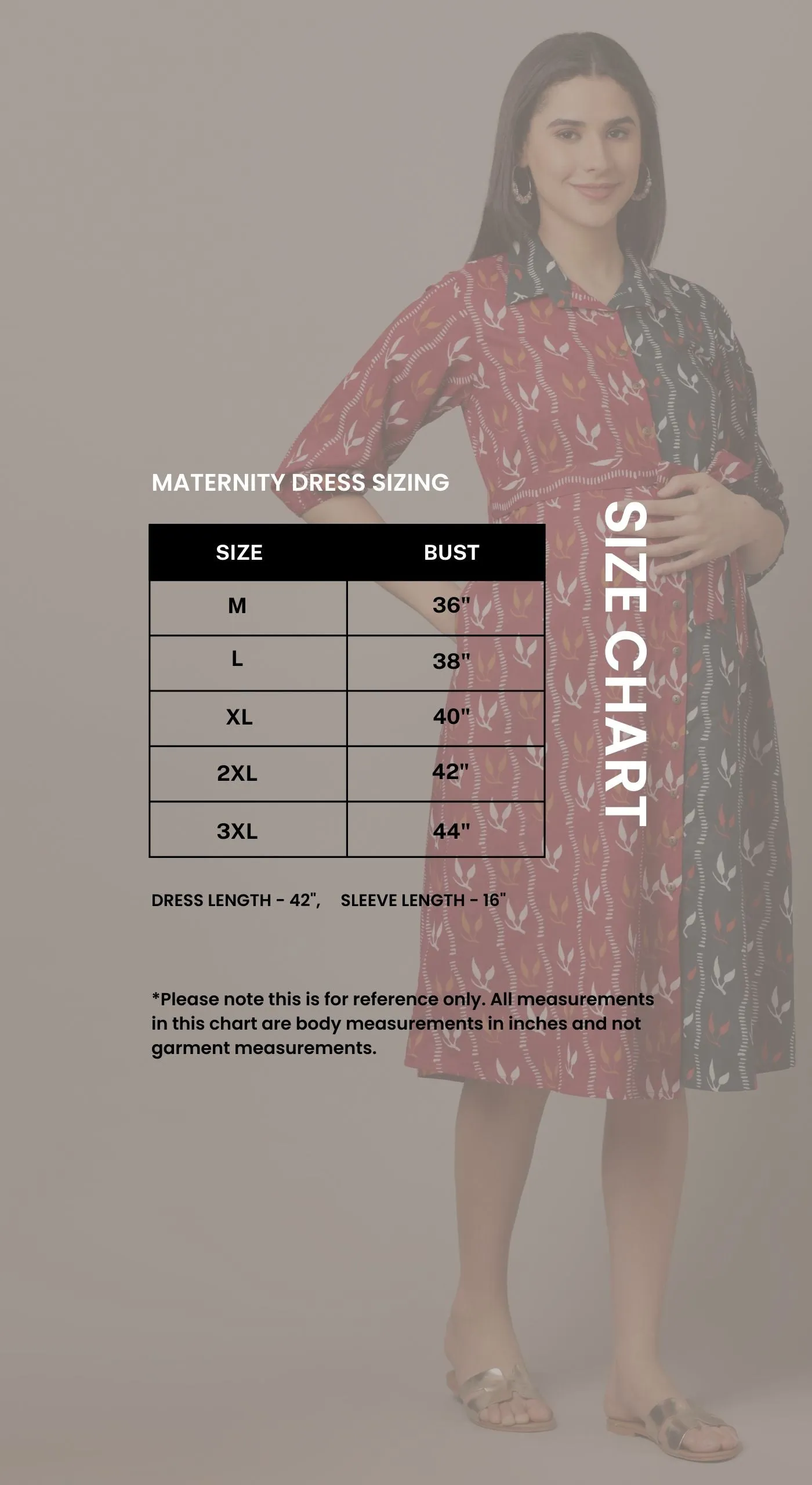 Collar Me Cute Maternity Dress