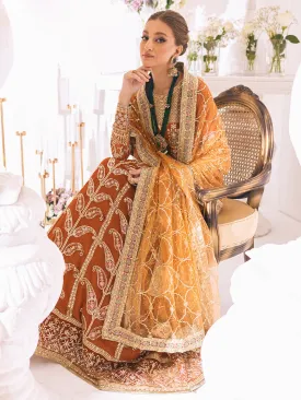 Roheenaz Sawariya Luxury Kalidaar Chiffon Formal Collection – DN-09