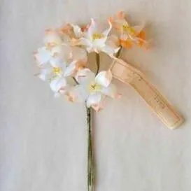 Star Flower