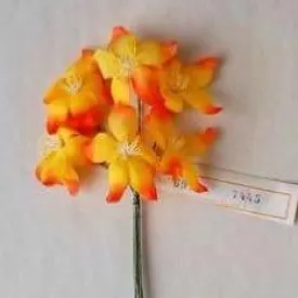 Star Flower