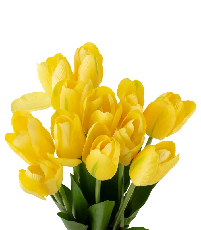 Tulip Stack - Yellow